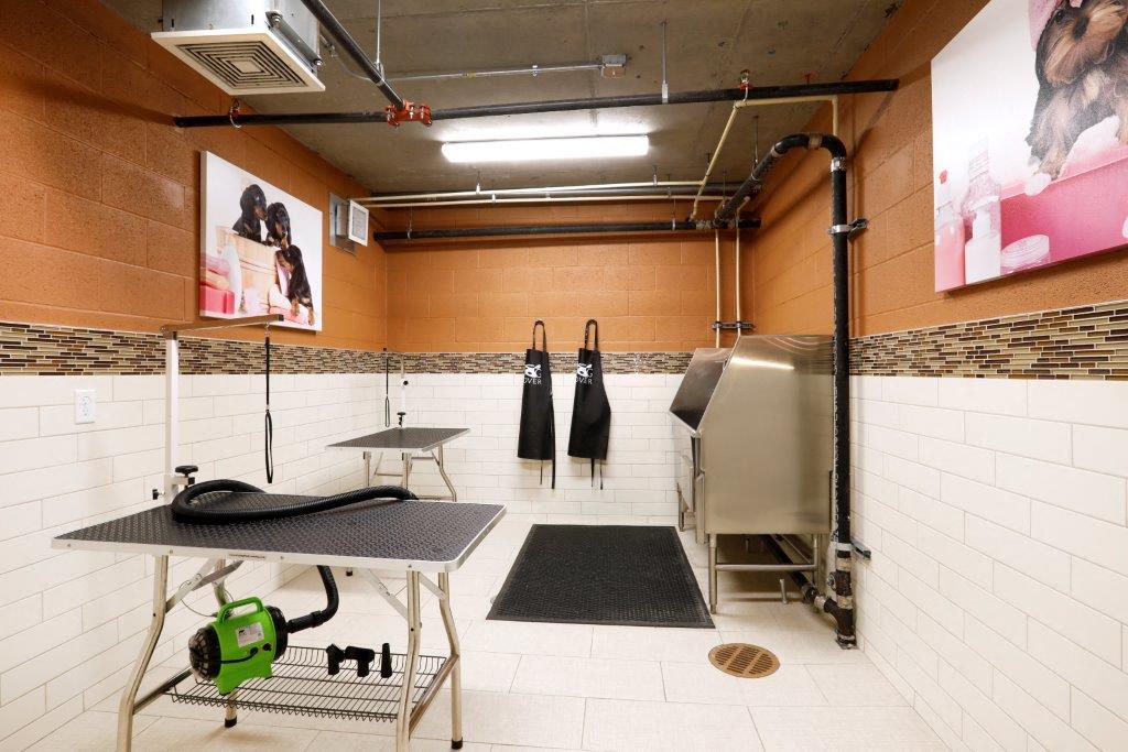 Pet spa room with showers and bathing equipment for grooming your pet.